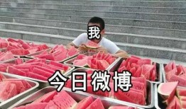 大学吃瓜群众免费,免费获取校园资讯的神秘力量