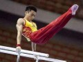 邹敬园最新爆料电话查询,电话查询背后的惊人真相揭露