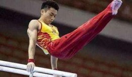 邹敬园最新爆料电话查询,电话查询背后的惊人真相揭露