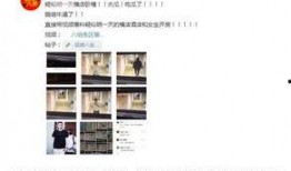 爆料某种事件怎么拍视频,独家视频曝光幕后真相