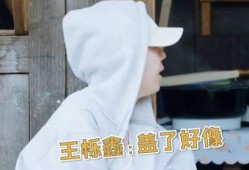 张远爆料王烁鑫视频播放,张远揭露王烁鑫视频播放背后的真相