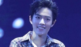 娱乐吃瓜君鲜肉男团,鲜肉男团背后的故事与魅力