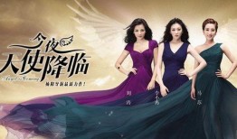 天使今夜降临在线观看,揭秘神秘降临的神秘天使