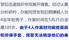 刑侦破案爆料流程视频,视频带你走进案件侦破全过程