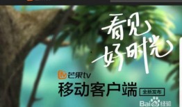 芒果电视在线直播观看,尽享精彩瞬间