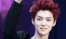 鹿晗理发店爆料视频,揭秘明星日常