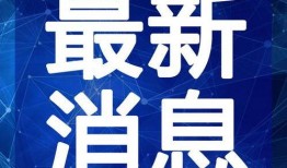 王琳长号最新爆料视频,最新爆料视频深度解析