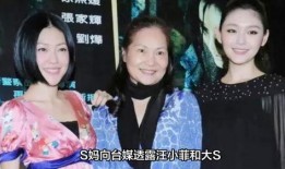 大s妈最新爆料,揭秘大S婚姻背后的惊人真相