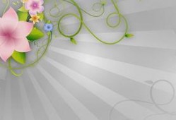 花边娱乐爆料长视频,长视频背后的惊人内幕