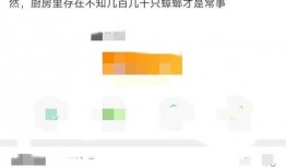 袁久红事件最新爆料,惊人内幕揭露真相