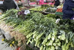 爆料江南买菜视频,揭秘明星接地气的一面