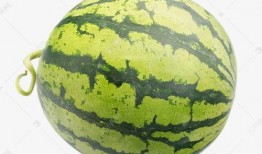 吃瓜爆料素材视频下载,一场视觉盛宴背后的下载风云