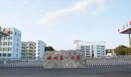 忻州第一中学爆料视频,揭秘校园生活背后的真实故事