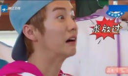 胖迪娱乐圈爆料事件,胖迪爆料事件深度解析