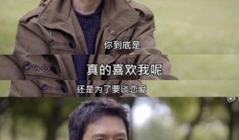 圈内人士爆料赵丽颖离婚,圈内人士爆料，真相究竟如何？