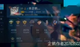 志涛爆料后续视频,揭秘事件真相与更多惊人内幕