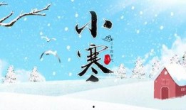 小寒最新爆料视频下载免费,精彩瞬间免费下载