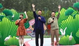 阿诺最新爆料消息新闻视频,揭秘幕后真相，视频内容引发热议