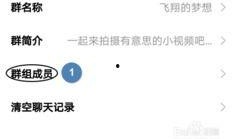 精彩小视频爆料群聊号,精彩小视频爆料群聊号，带你探秘网络热点背后的故事
