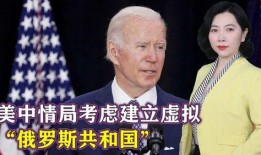 俄罗斯爆料外交情报视频,视频曝光神秘内幕