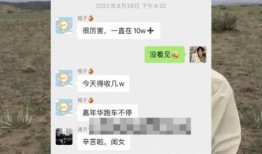 惠然丈夫姐姐爆料视频,揭秘背后惊人真相