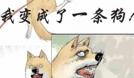 吃瓜表弟小说免费阅读,揭秘娱乐圈背后的秘密