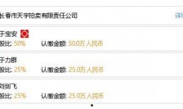 长春拍卖爆料信息网最新,揭秘拍卖市场新趋势与热点项目