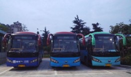 诸暨公交车爆料事件最新,真相与反思
