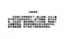 刑侦破案爆料流程视频,视频带你走进案件侦破全过程