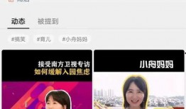 衡水桃中爆料视频,校园生活背后的真实故事