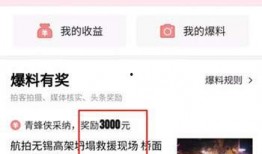 今日头条郑州爆料视频,视频揭露惊人真相，市民热议！