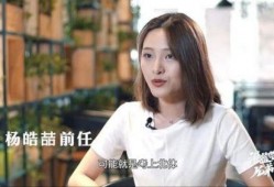 杨皓喆爆料图片最新动态,揭秘幕后真相，图片动态引发热议