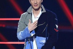 娱乐圈爆料王力宏是谁啊