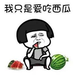 娱乐圈吃瓜用语