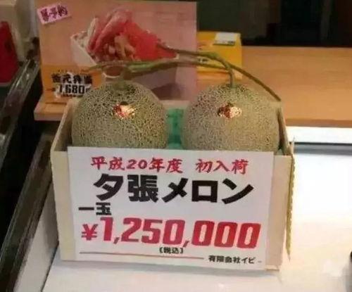 娱乐吃瓜大号,吃瓜群众必看的幕后故事